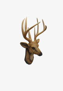 Wall Mounted Deer Head Sculpture-AM0098